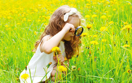 Kind schaut mit Lupe auf Blüten in Wiese