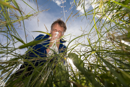 Mann auf Graswiese leidet unter Pollenallergie