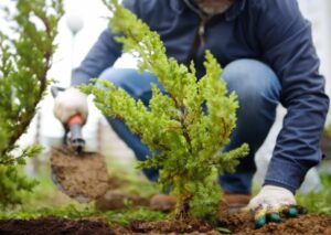 Boden im Garten optimal vorbereiten: Step-by-Step Anleitung für den perfekten Garten