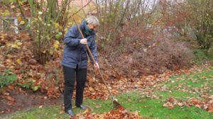 Ultimative Anleitung: Garten winterfest machen für optimalen Schutz und blühendes Frühjahr